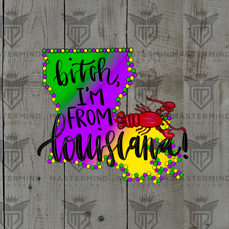 Bitch I'm From Louisiana DTF Transfer