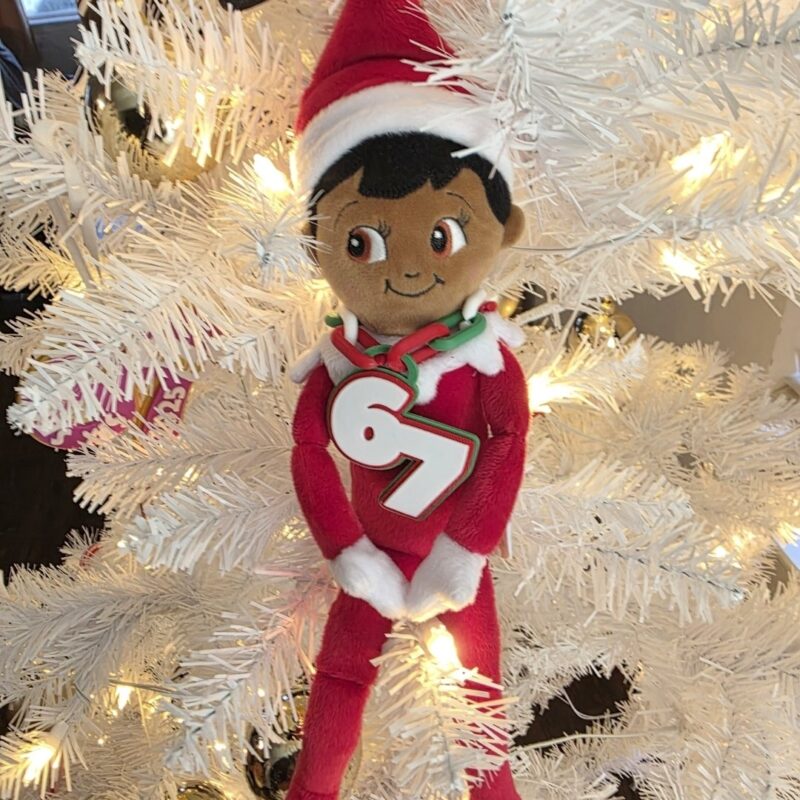 Alternative view of Elf 6 7 Chain