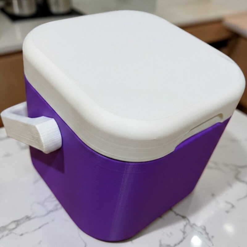 Mini Cooler with Handle